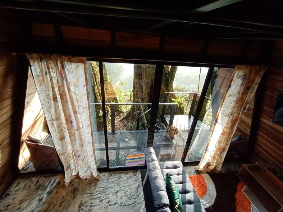 הוילה מונטה ורדה Casa Del Arbol מראה חיצוני תמונה